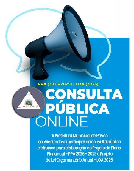 CONSULTA PÚBLICA